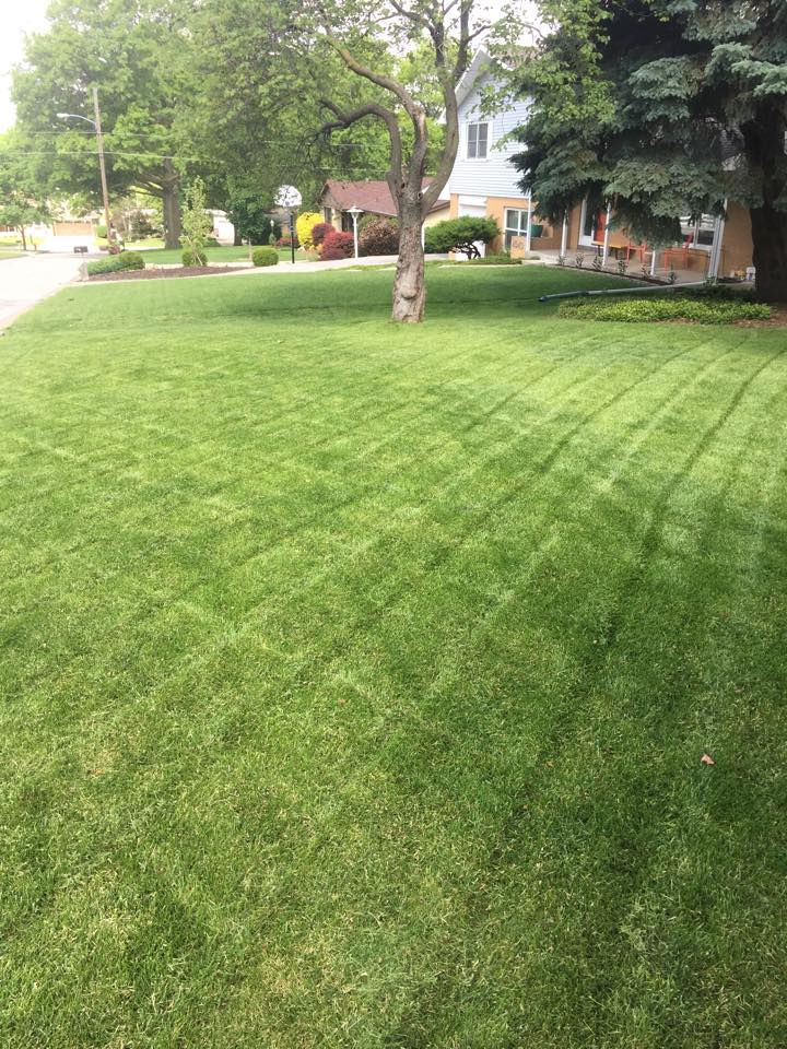 Lincoln Landscape and Mowing | Lincoln NE