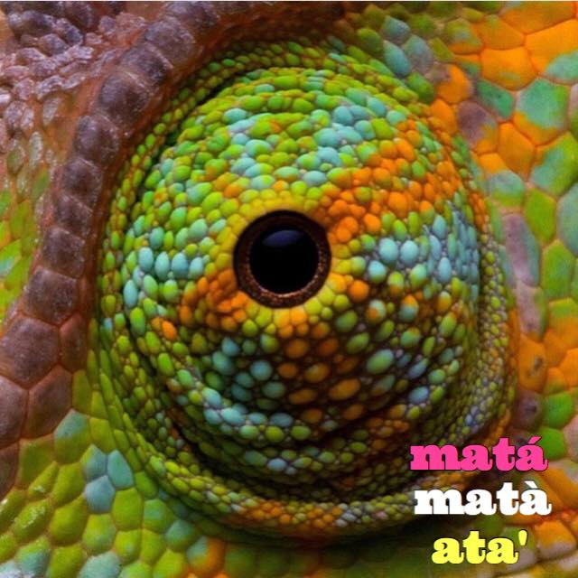 Today's word is: matá (eye). This... - Philippine Languages | Facebook