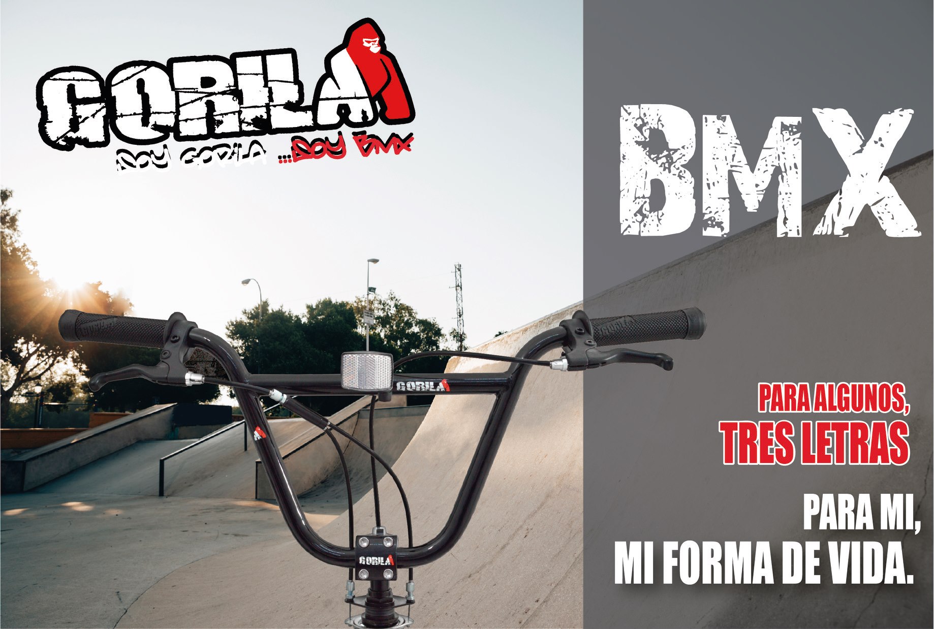 Gorila BMX - BMX: para algunos tres letras; para nosotros,...