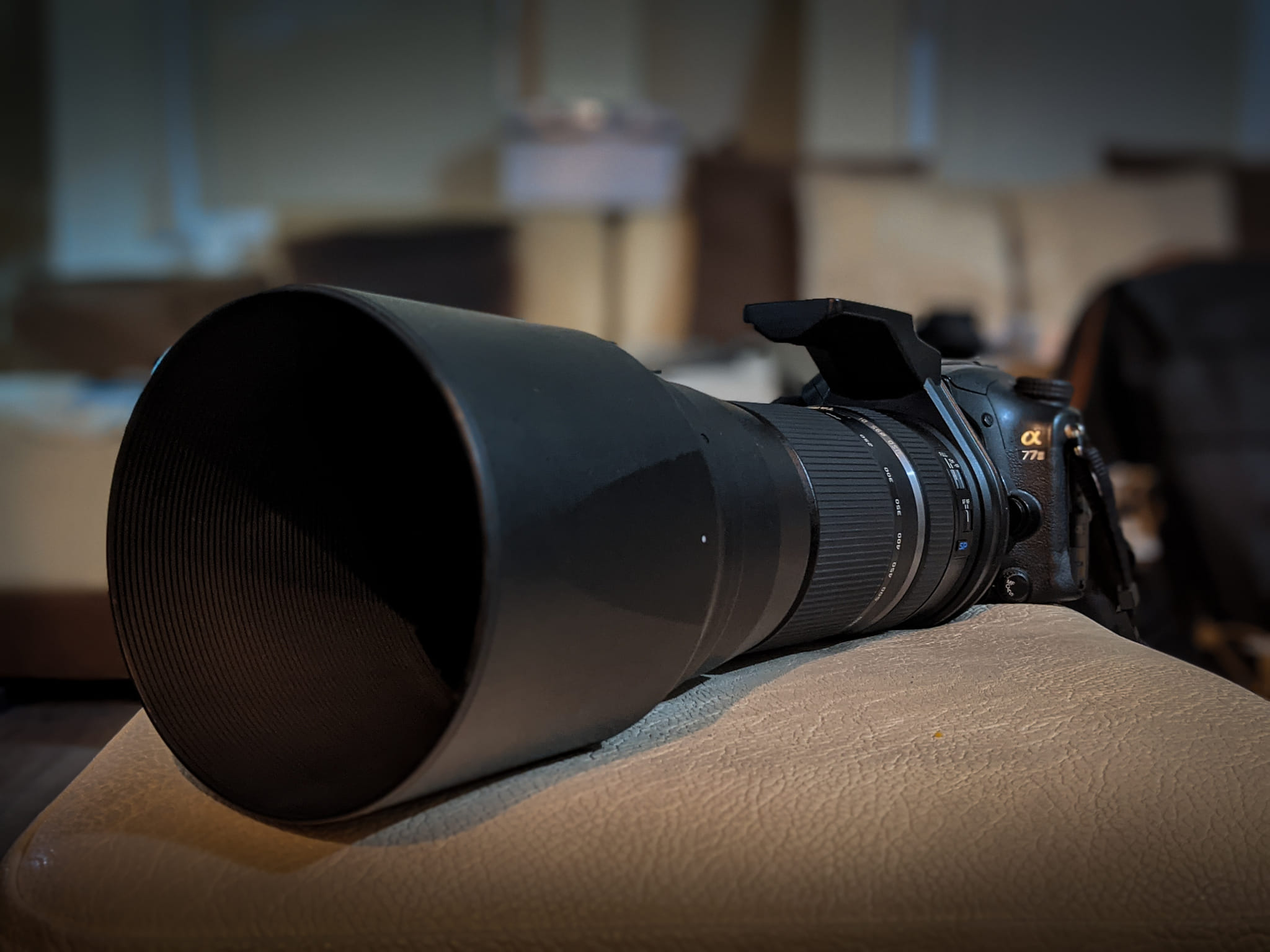 First trial with Tamron SP 150-600mm lens on Sony A99 ii