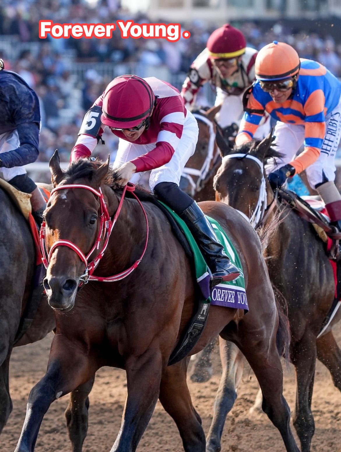 FOREVER YOUNG makes history! 🙌 He wins the Breeders' Cup Classic