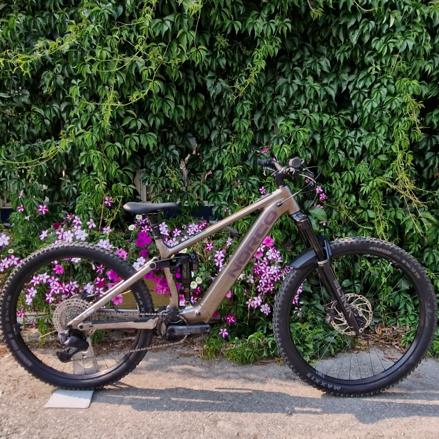 fahrradsattel wundscheuern LeeQinersw Atmungsaktiver, Hohler Und Wasserdichter Fahrradsattel, Ideal für Ungetrübten Fahrradspaß, Braun Sport & Freizeit Color:Moonlight 醸造醤油 Bryton GPS-Fahrradcomputer online kaufen