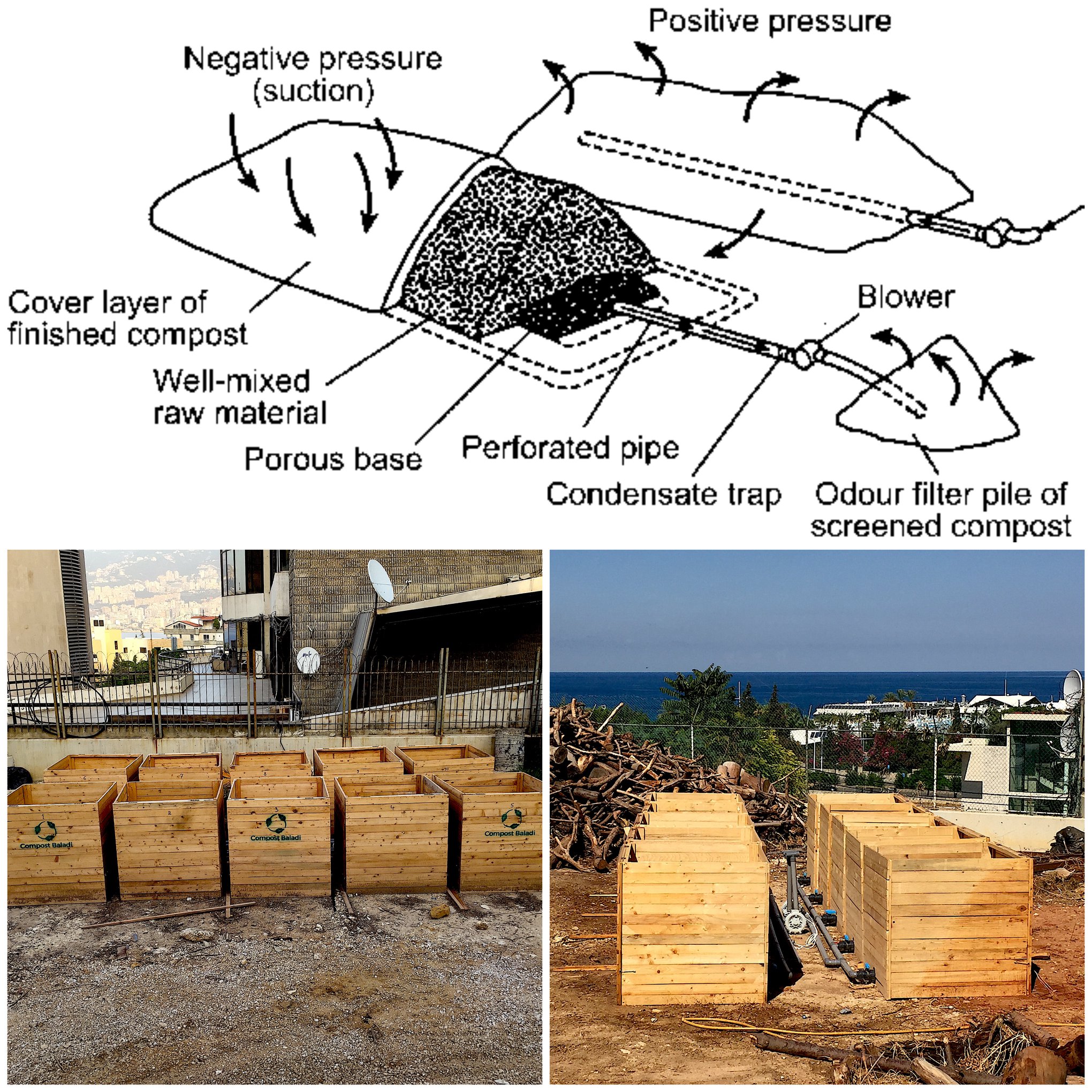 Compost - Compost Baladi’s Aerated Static Pile (ASP) composting system ...