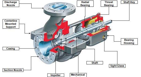 Pravin - The image depicts a section view of a centrifugal pump, a ...