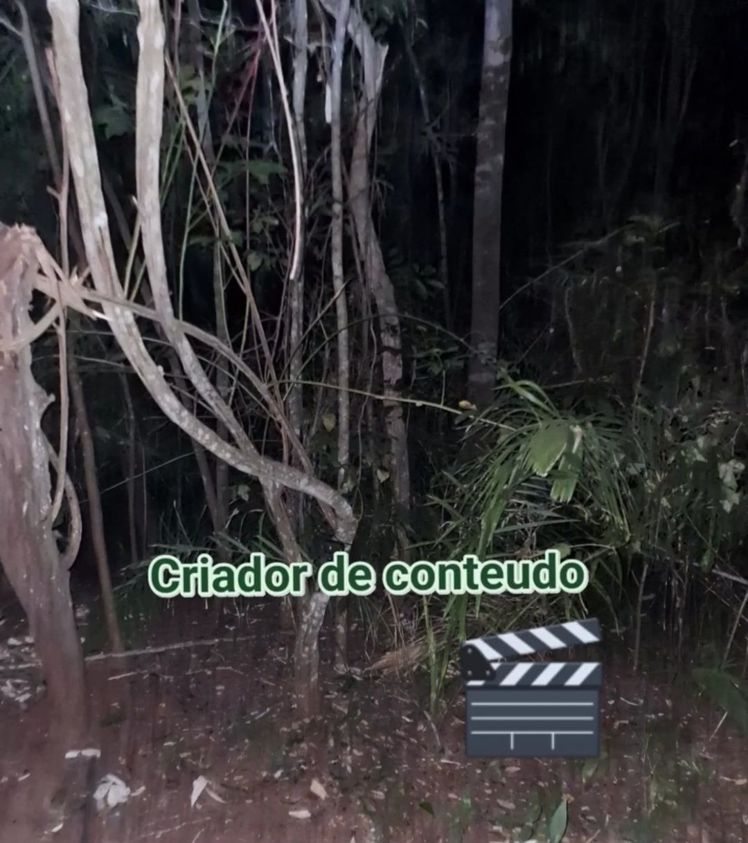 Oneir Rogerio