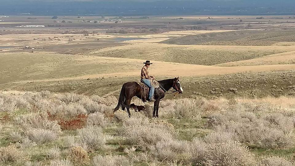 Flying S Ranch | Cheney WA
