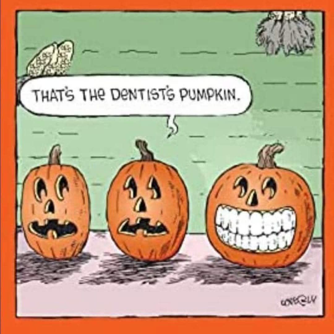 😆lighthearted & Funny Humor | Facebook