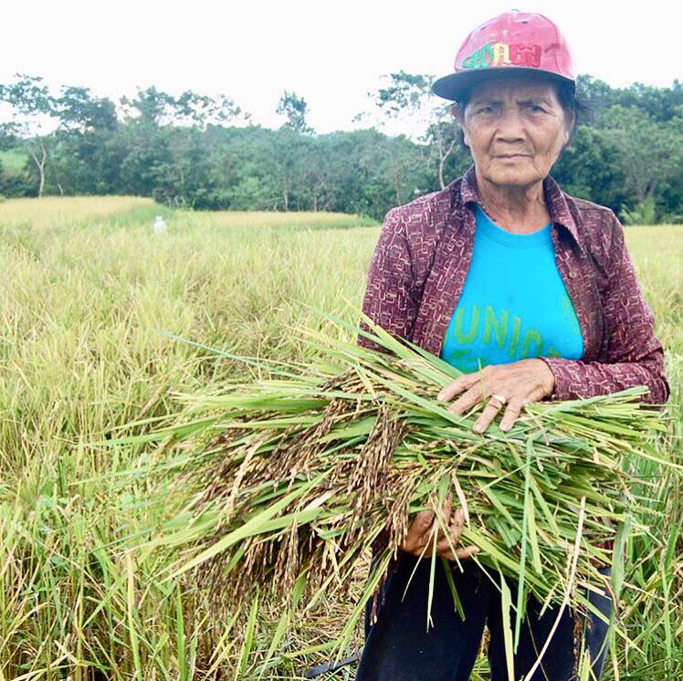 Our women partners/farmers in organic rice production in Iloilo. # ...