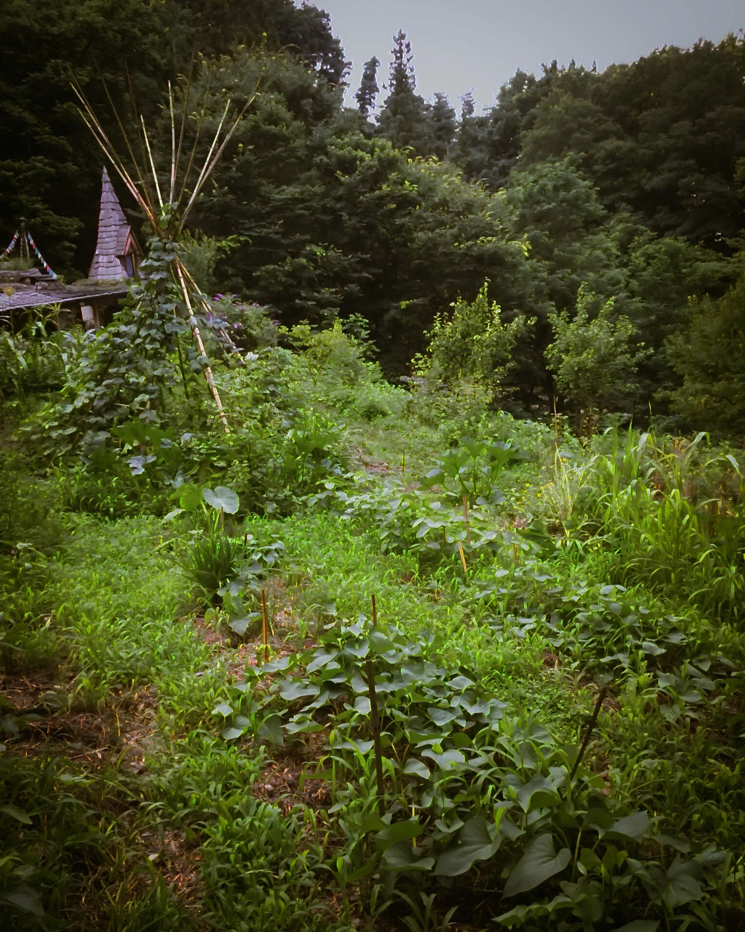 Botanic Green (@BotanicGreen) • Facebook