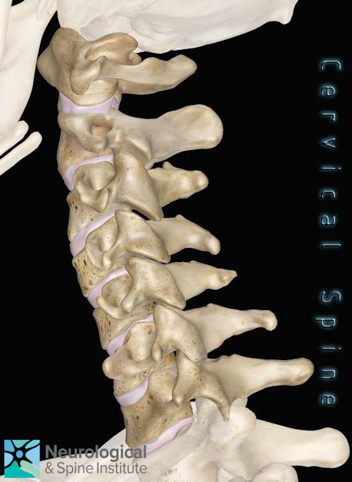 Know Your... - Neurosurgical & Spine Institute of Savannah | Facebook
