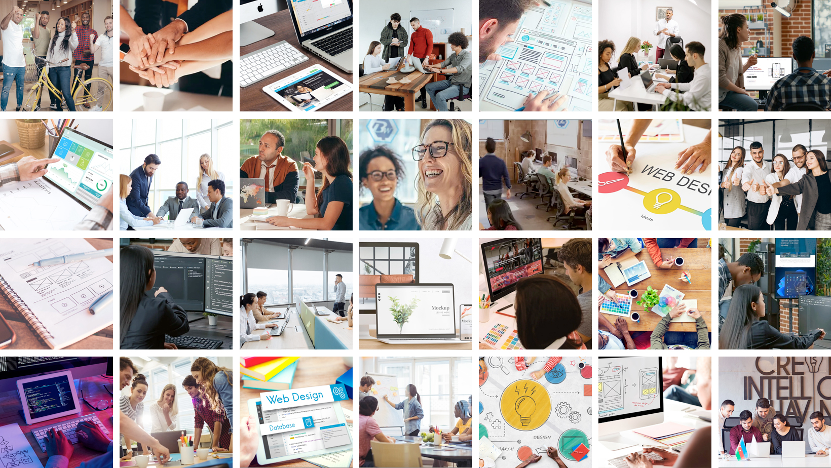 Bless Web Designs | Dallas TX