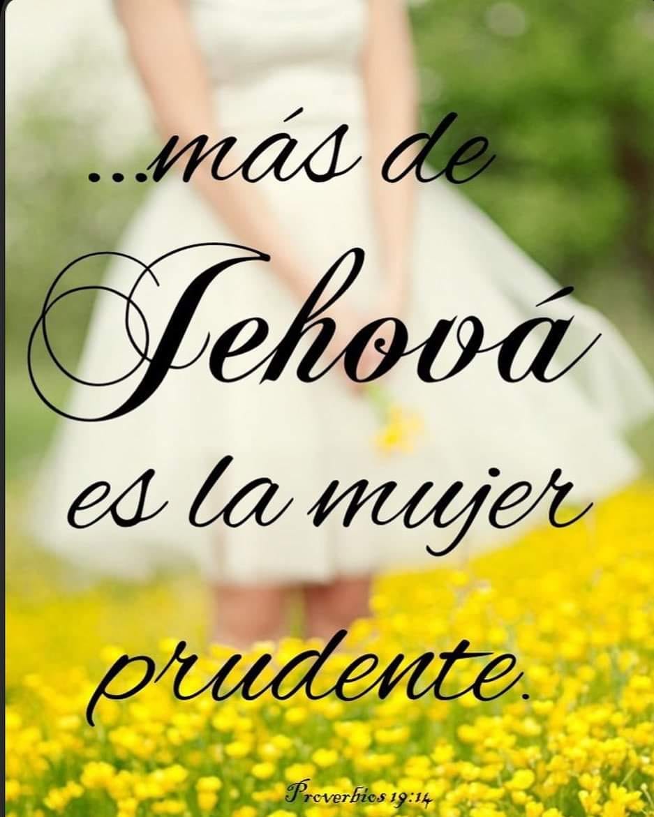 La casa y... - Mujeres De Guerra 