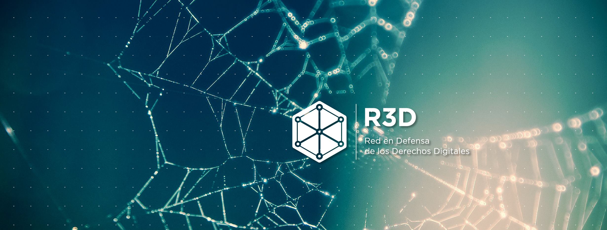 R3D: Red en Defensa de los Derechos Digitales - Home