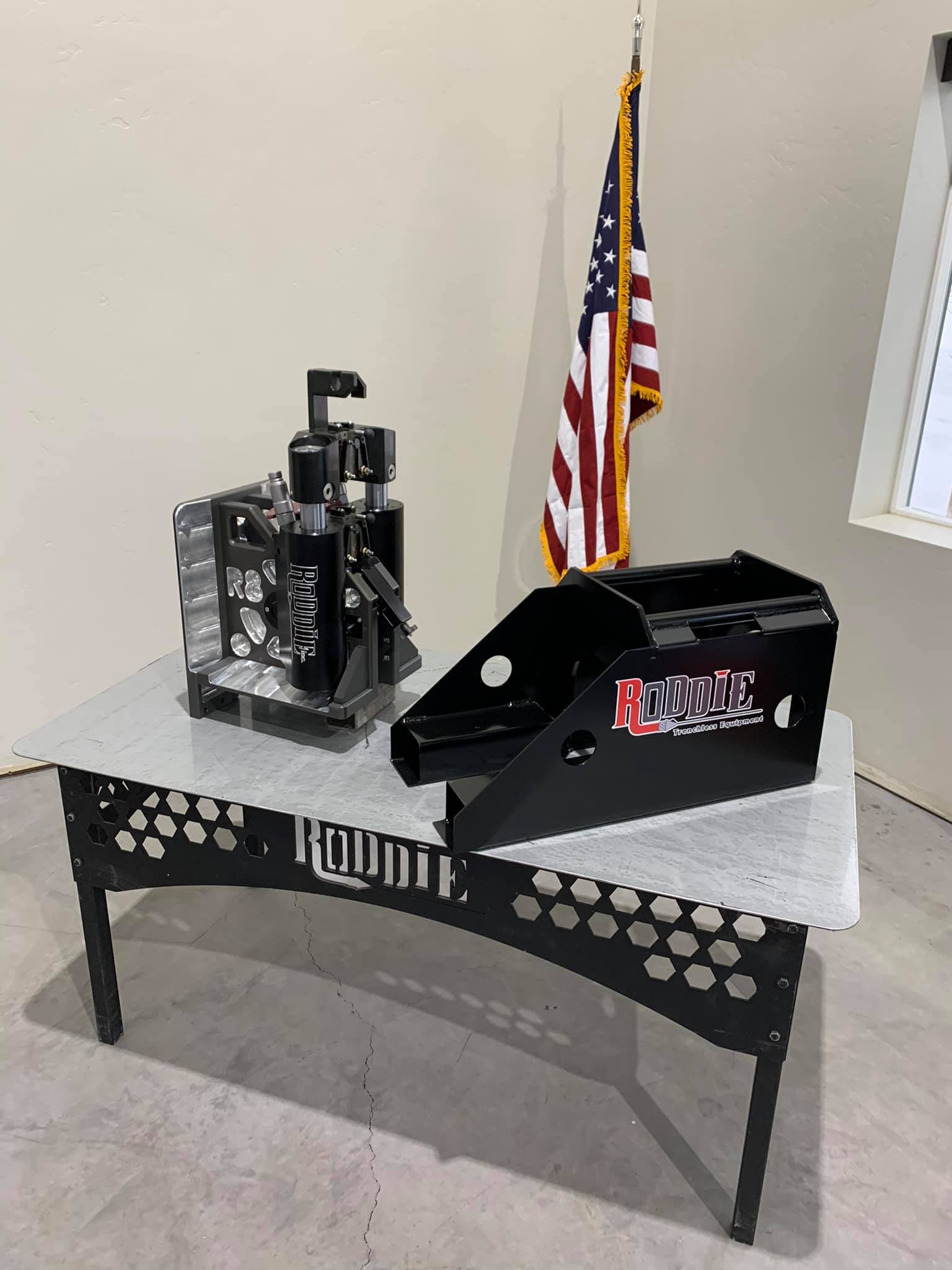 Roddie Inc. - New R8 with sexy Weight loss. Ram 70lbs...