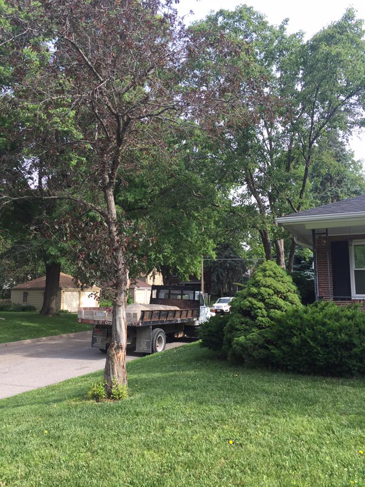 Lincoln Landscape and Mowing | Lincoln NE