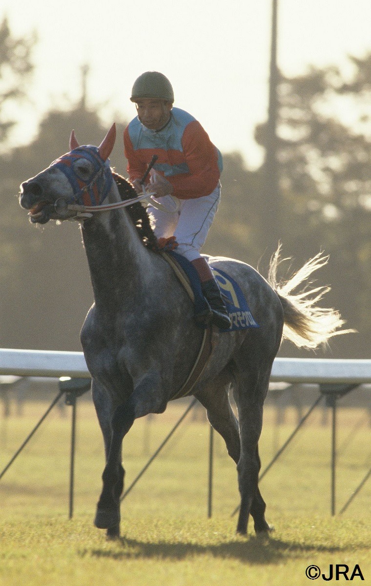 Jra 日本中央競馬会 ６月６日の投稿 あなたが好きな芦毛のサラブレッドを教えてください に寄せられたコメントと Facebook