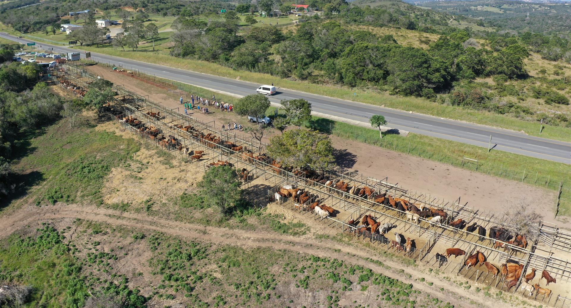 Elliott Bros Auctioneers | Cambridge