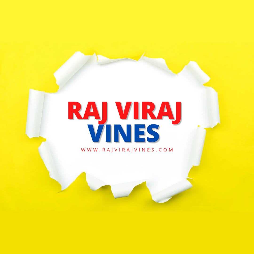 RAJ VIRAJ