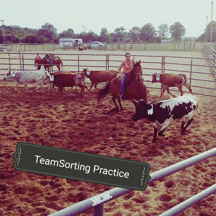 Team Roping at Tyler's Arena - Don't forget that we have team sorting ...