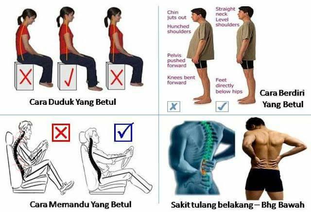 Kesihatan Tulang Urat Saraf Melaka Gaya Kehidupan Menentukan Tahap Kesihatan Kita Di Mana Bahkan Duduk Terlalu Lama Berdiri Memandu Dan Sebagainya Juga Boleh Menyebabkan Kita Sakit Belakang Kerana Ketika