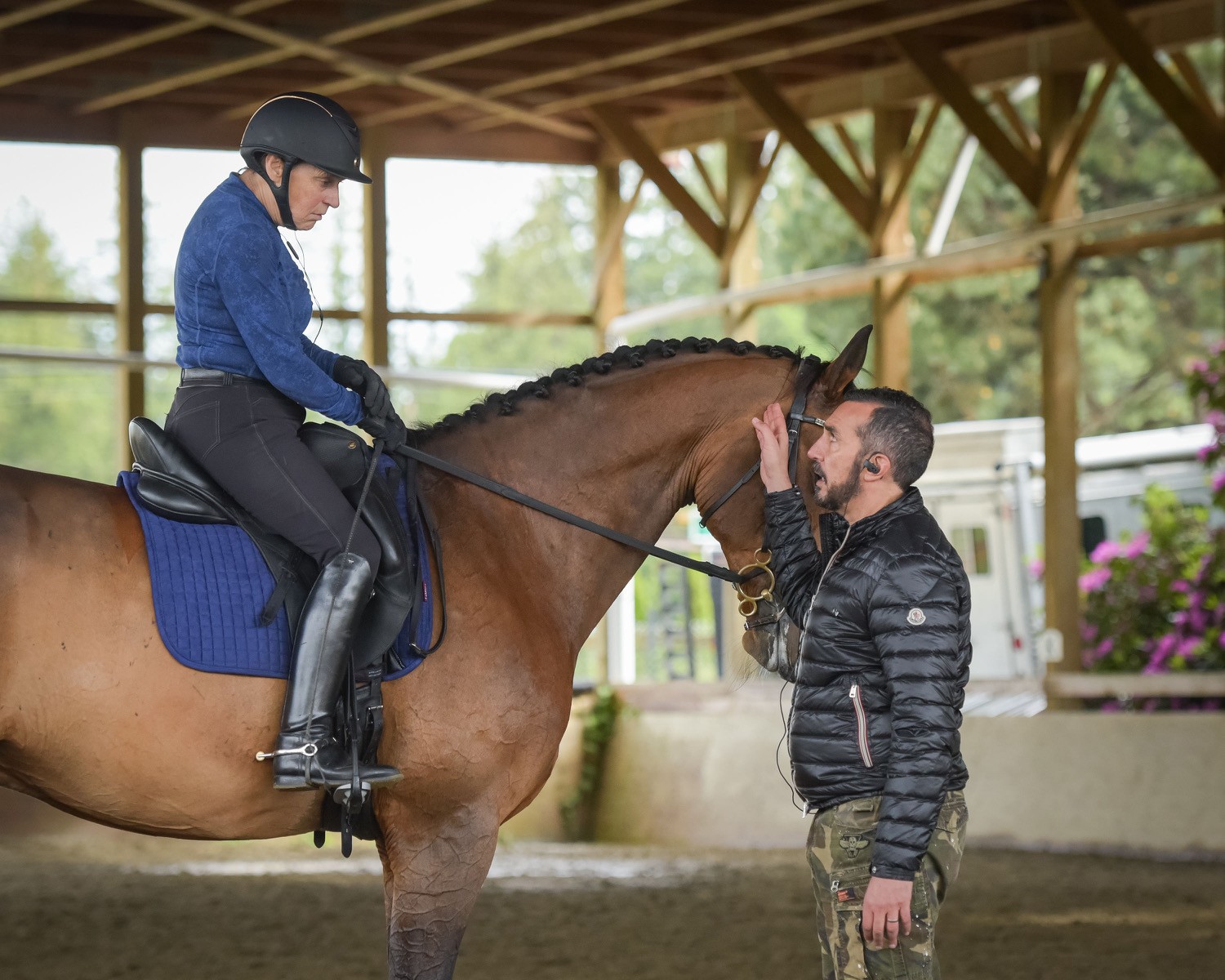 Shelley - Applications Now Open for the Final BC Dressage High ...