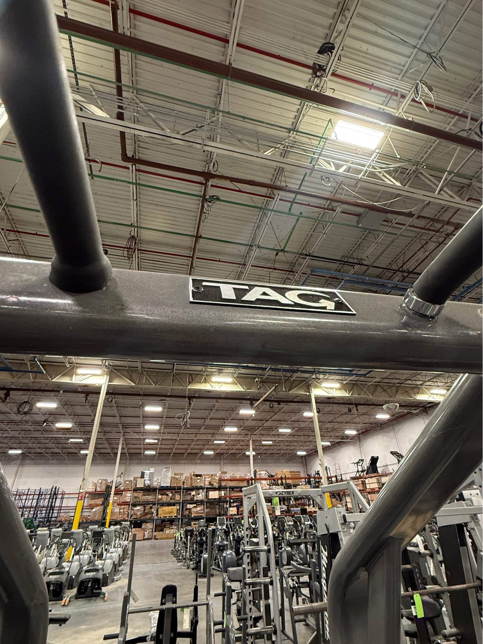 Tag Knee Raise w/pull-up - Weight Lifting Machines & Racks - Belmont ...