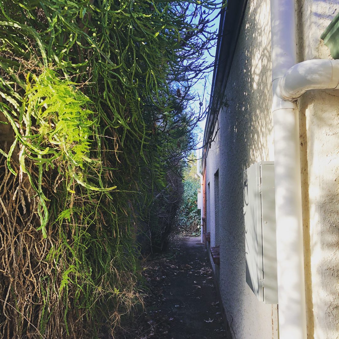 Have your trees and shrubs outgrown... - Embark Tree Services | Facebook