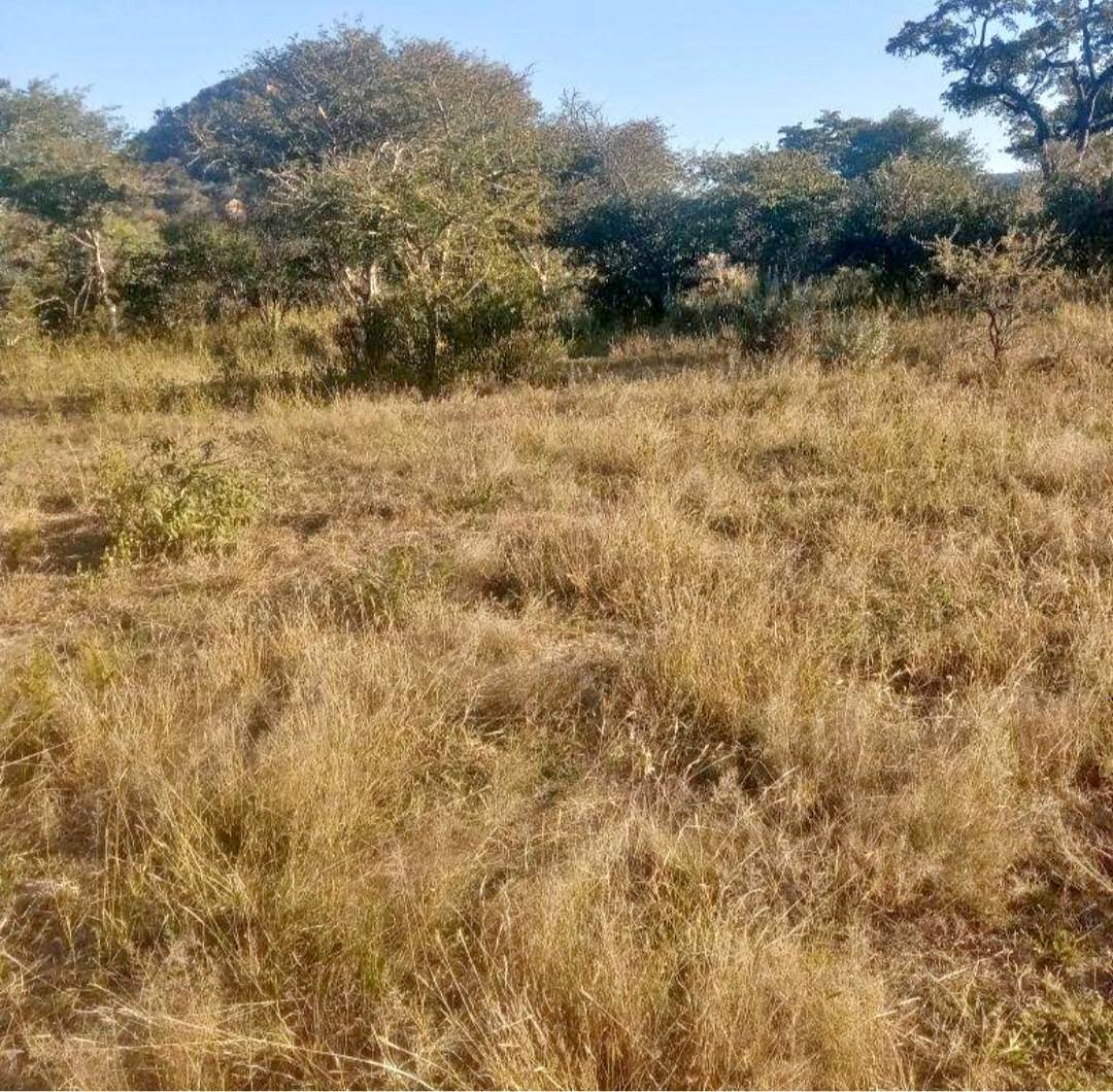 Tshimo for sale 4.5ht Location: Ramokgonami It's 61.2km from Palapye ...