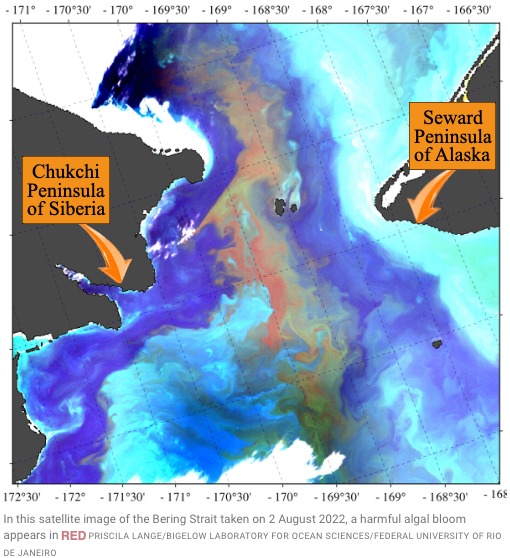 Warming seas fuel spread of harmful algal mega-blooms in the