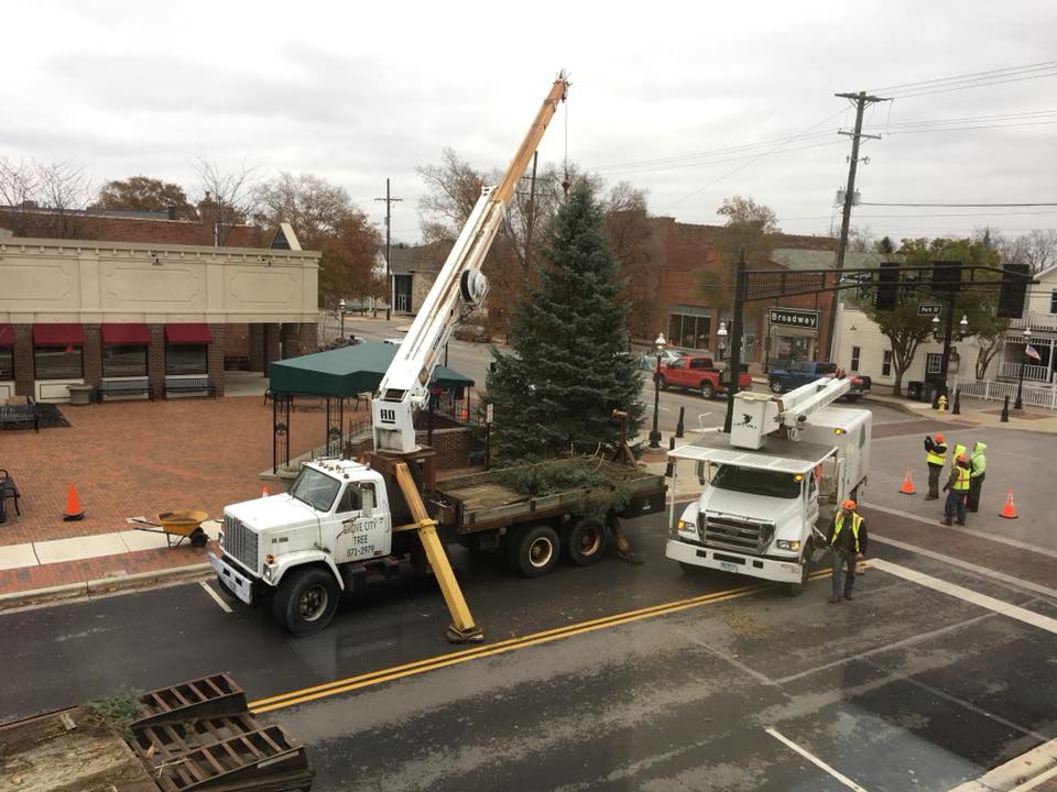 Grove City Tree Service