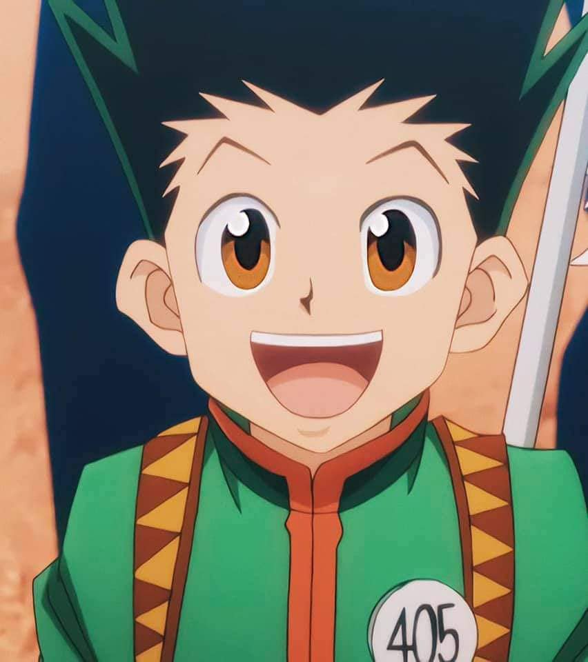 قال توغاشي عن شخصية غون انها لا... - Hunter x hunter الأصدقاء | Facebook