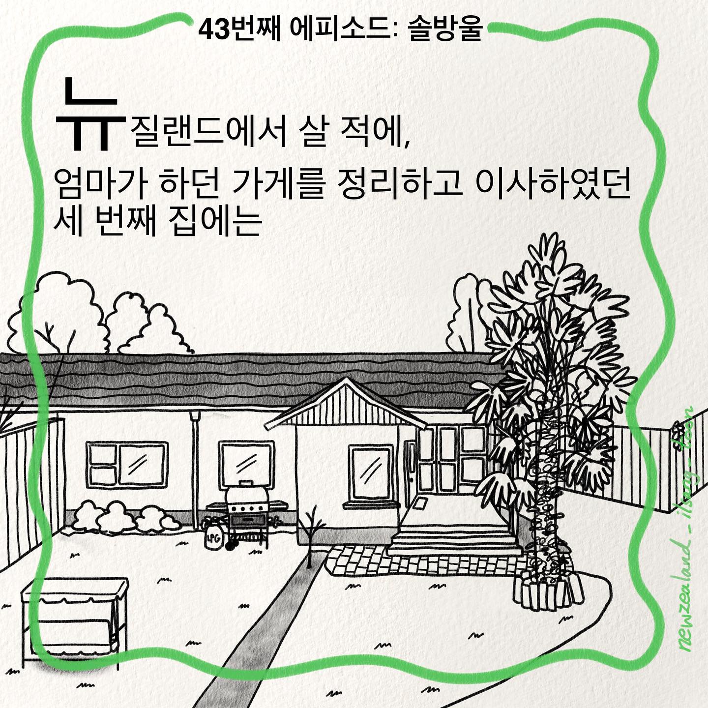 뉴질랜드일상툰 - 뉴일툰 - 솔방울 - 1 . . . 사진에 있는 솔방울은 15년... | Facebook