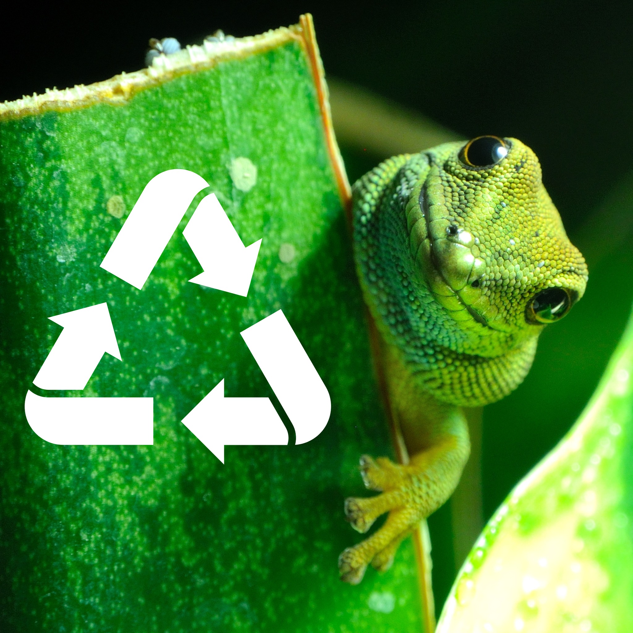 Earth Week Tip #1: Reduce, reuse,... - The Scale Foundation | Facebook