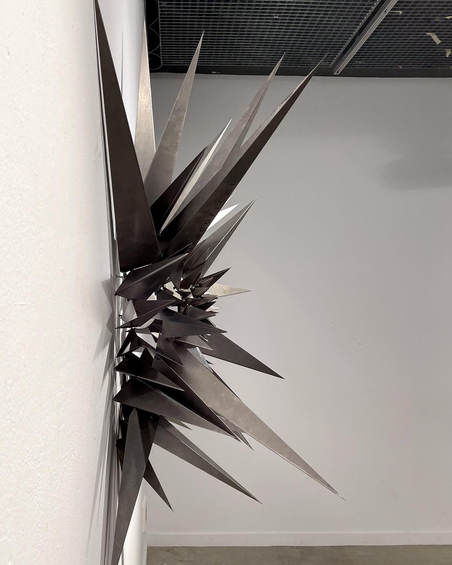 Júlia Rizo Artist | Barcelona