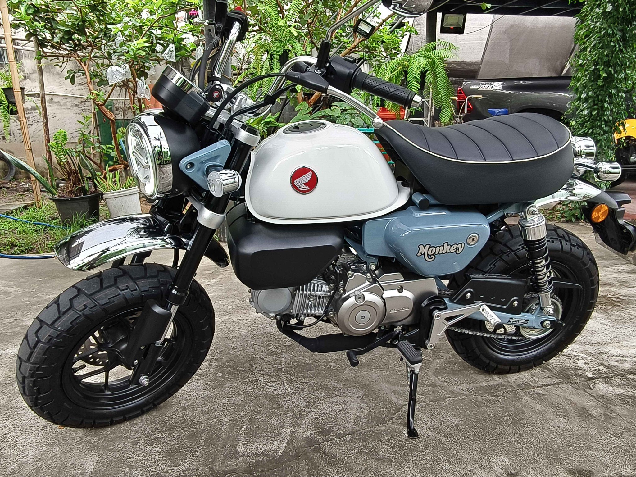 Honda Monkey 125 Thailand ซื้อ-ขาย | Monkey ปี24 5เกียร์ เล่มทะเบียนครบ ...
