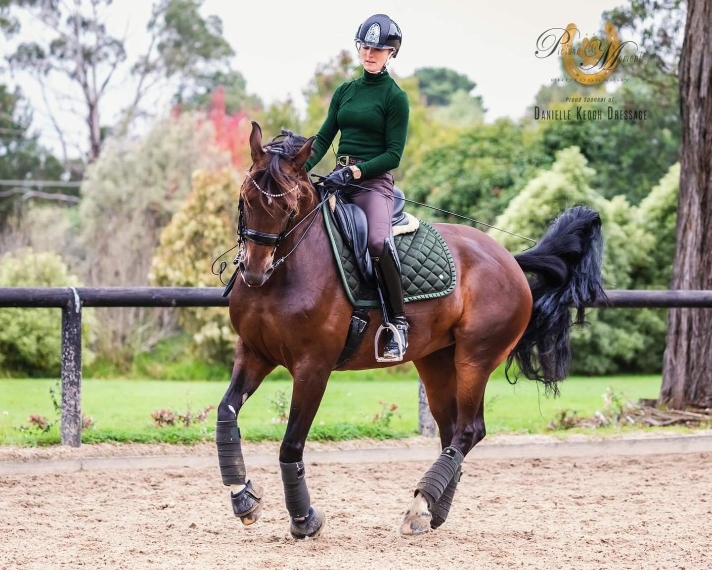 Equine Edge Rehabilitation | Mooloolah Valley QLD