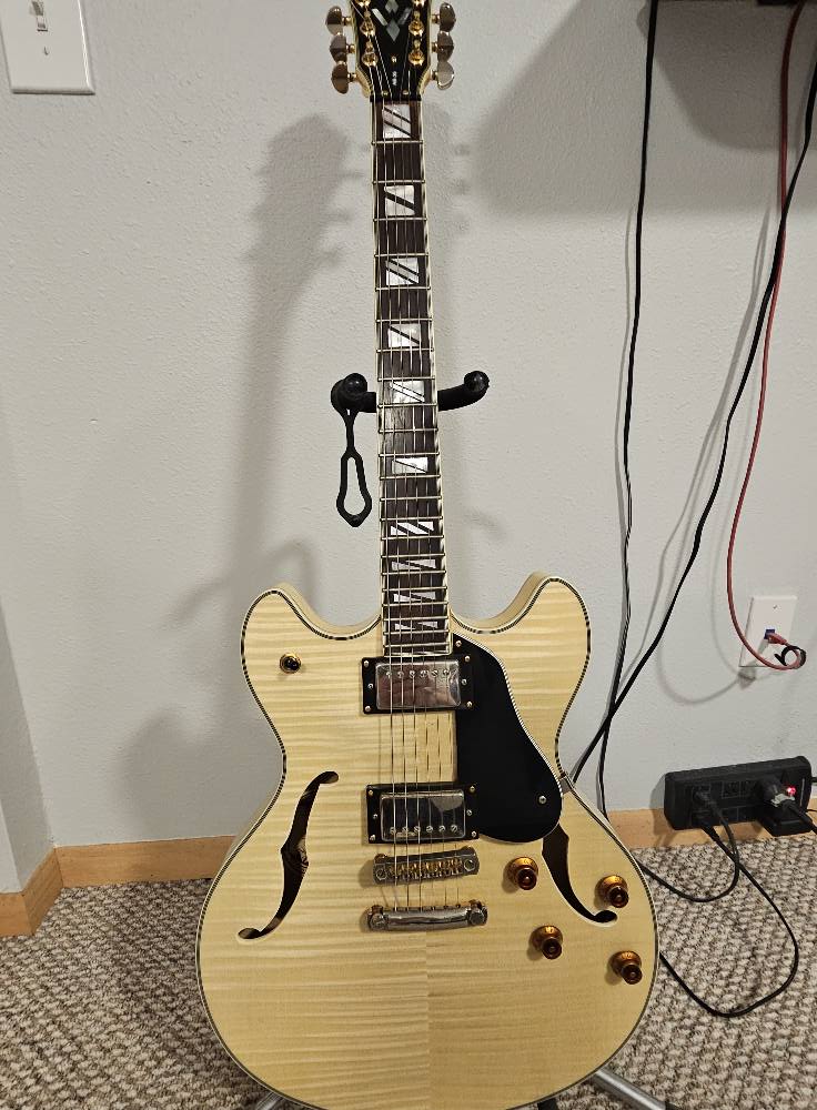 Washburn HB35 guitar owners sharing experiences and regrets