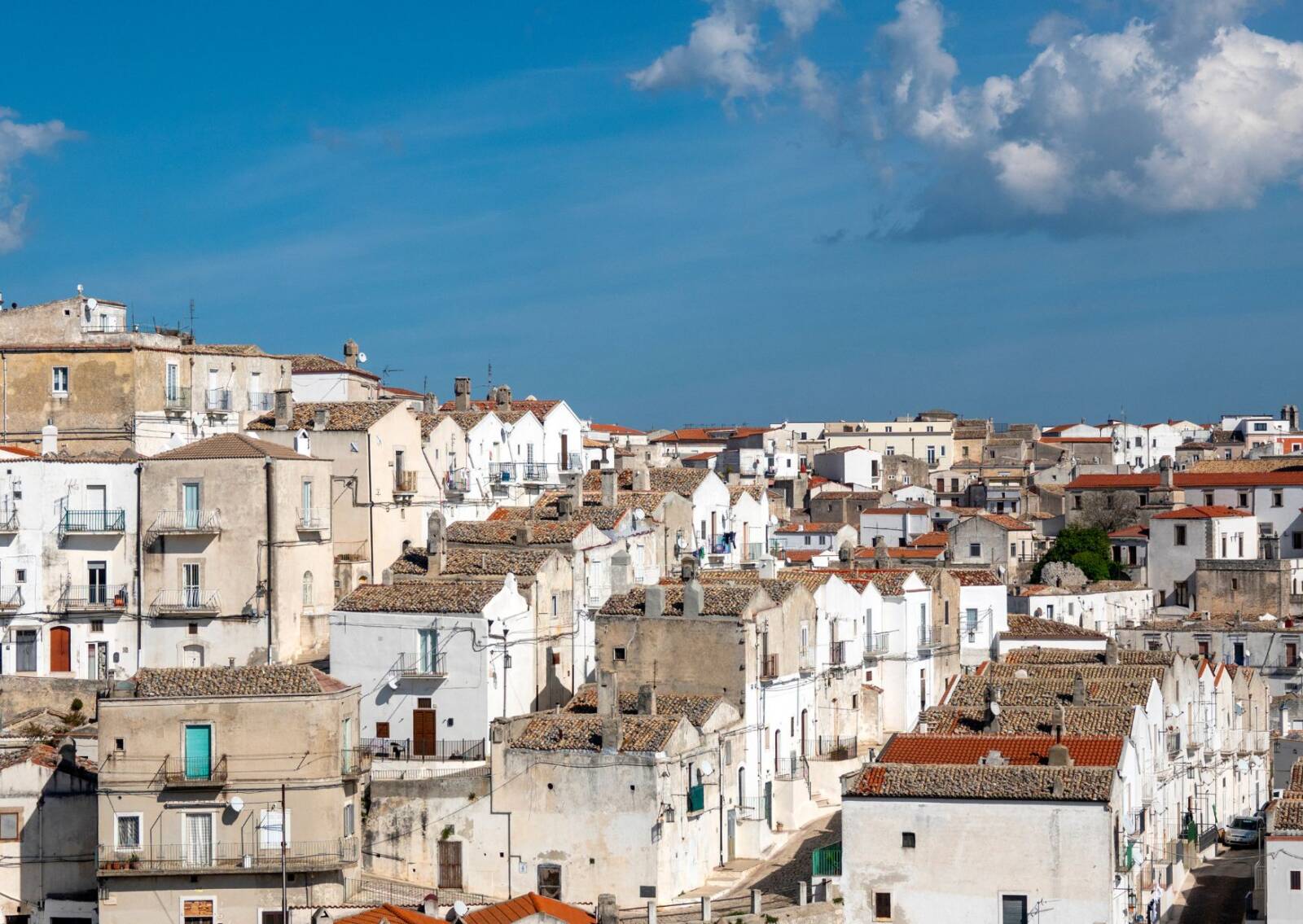 Epifania al Sud: San Giovanni Rotondo e Monte Sant’Angelo