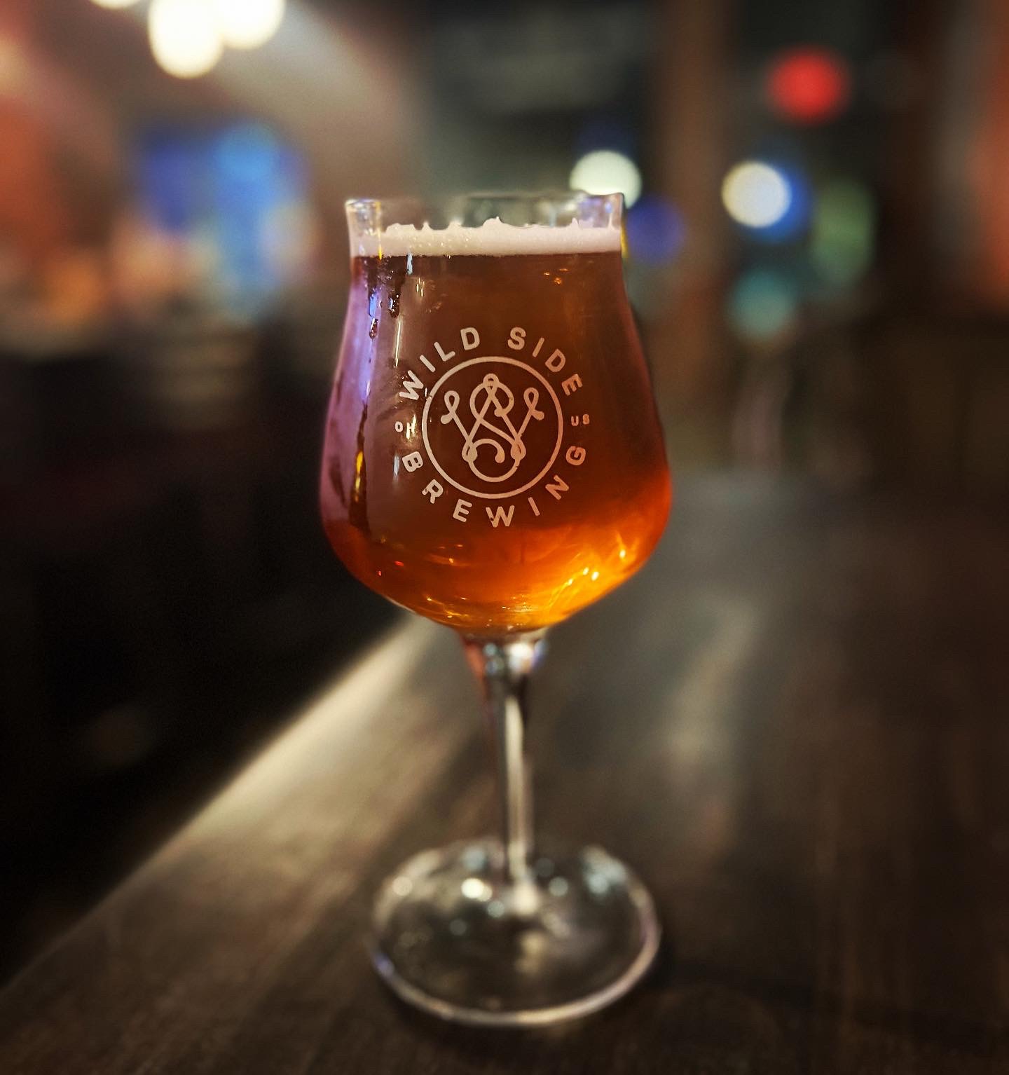 Wild Side Brewing Company | Grand Rapids OH