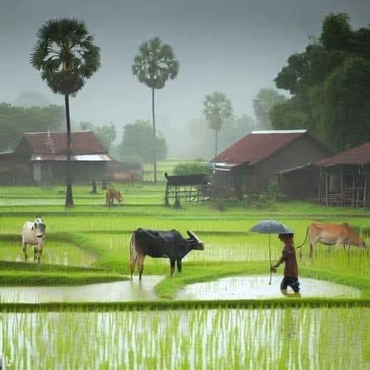 សុ ផុន