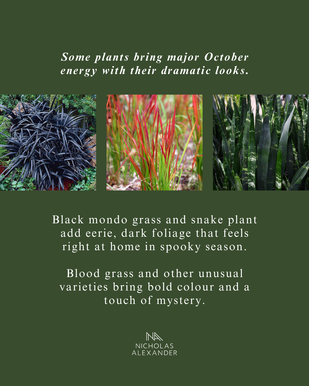 Nicholas Alexander Home & Garden | Vernon BC