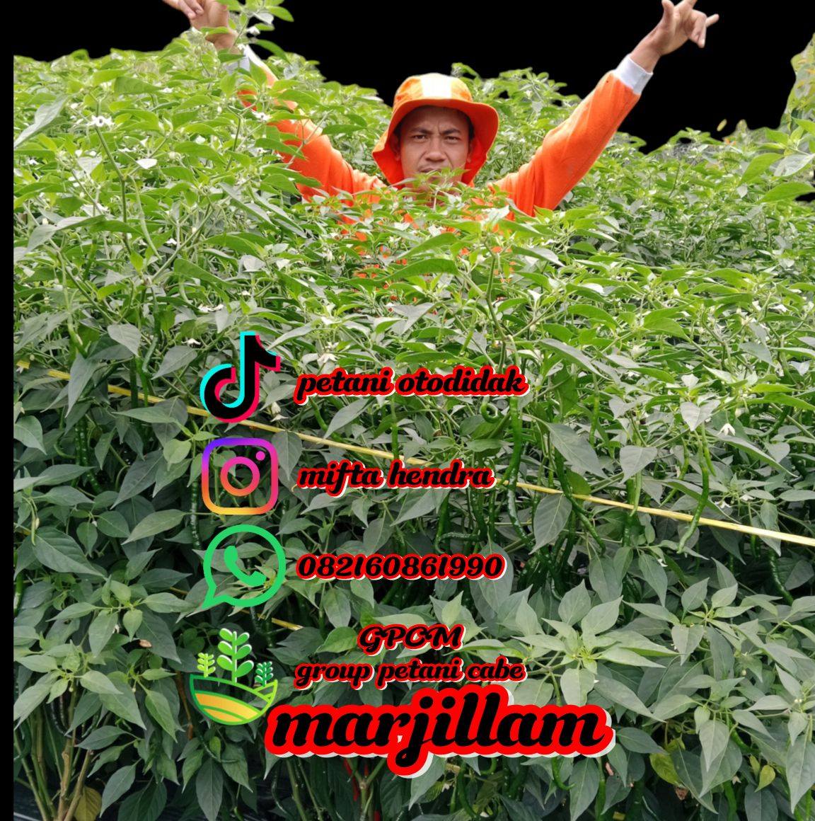 Kalo sudah terjadi seperti ini Hal yg paling utama kita lakukan, yaitu ...