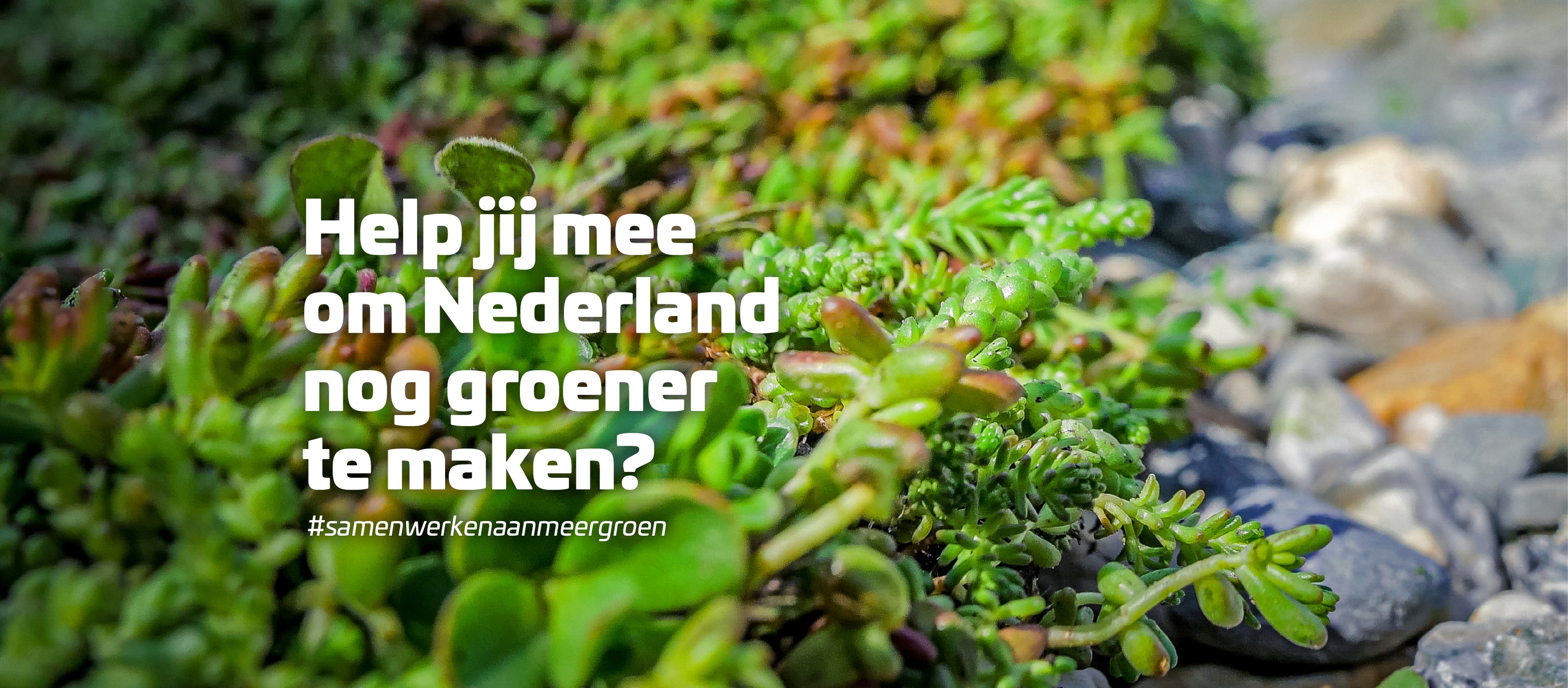 Boomberoepsonderwijs - Dit jaar zijn Edu'Actief en Sarphati samen ...