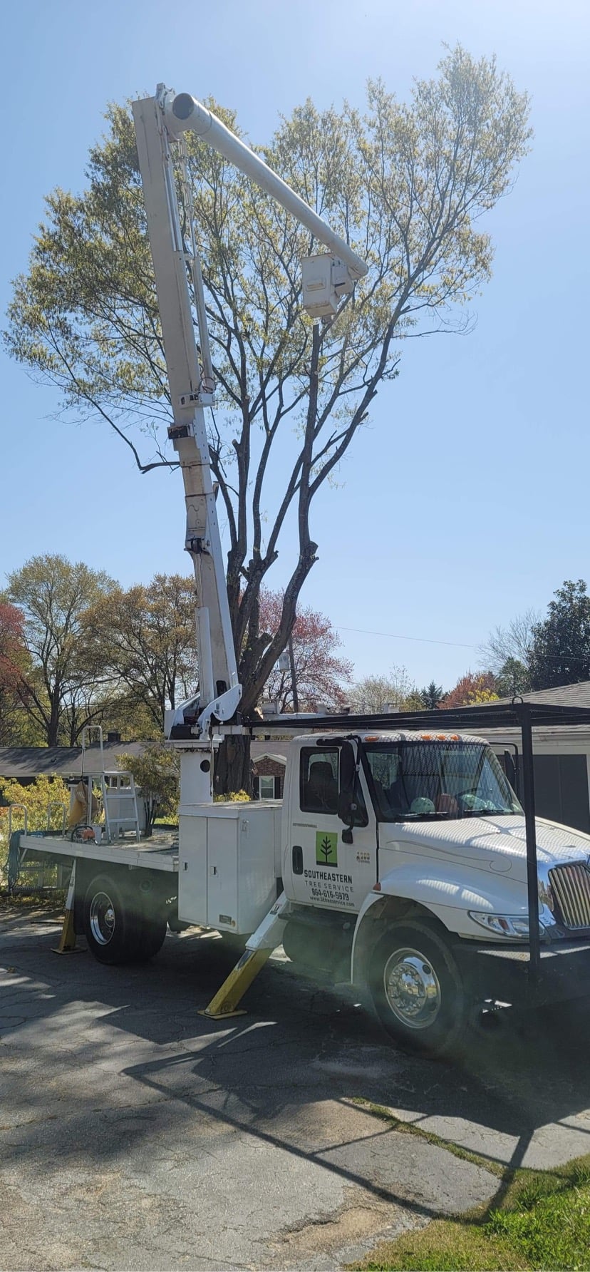 Southeastern Tree Service | Greenville SC