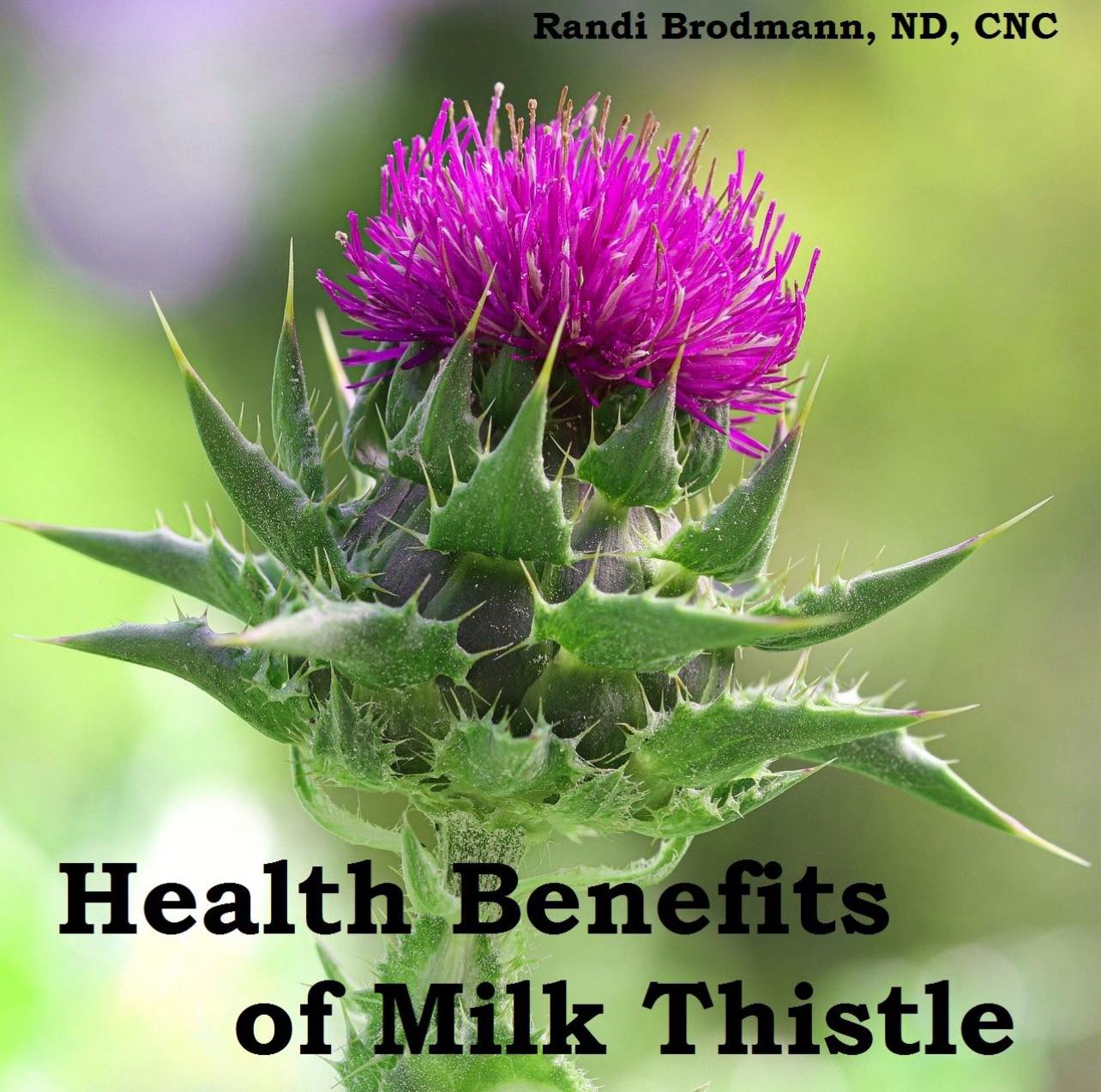Milk thistle is a commonly used natural supplement for liver health, but does it work? Know the benefits & risks