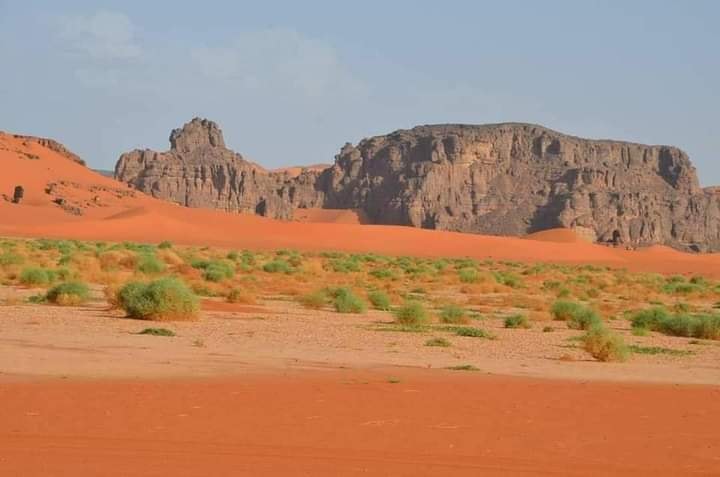 ولاية جانت | Facebook