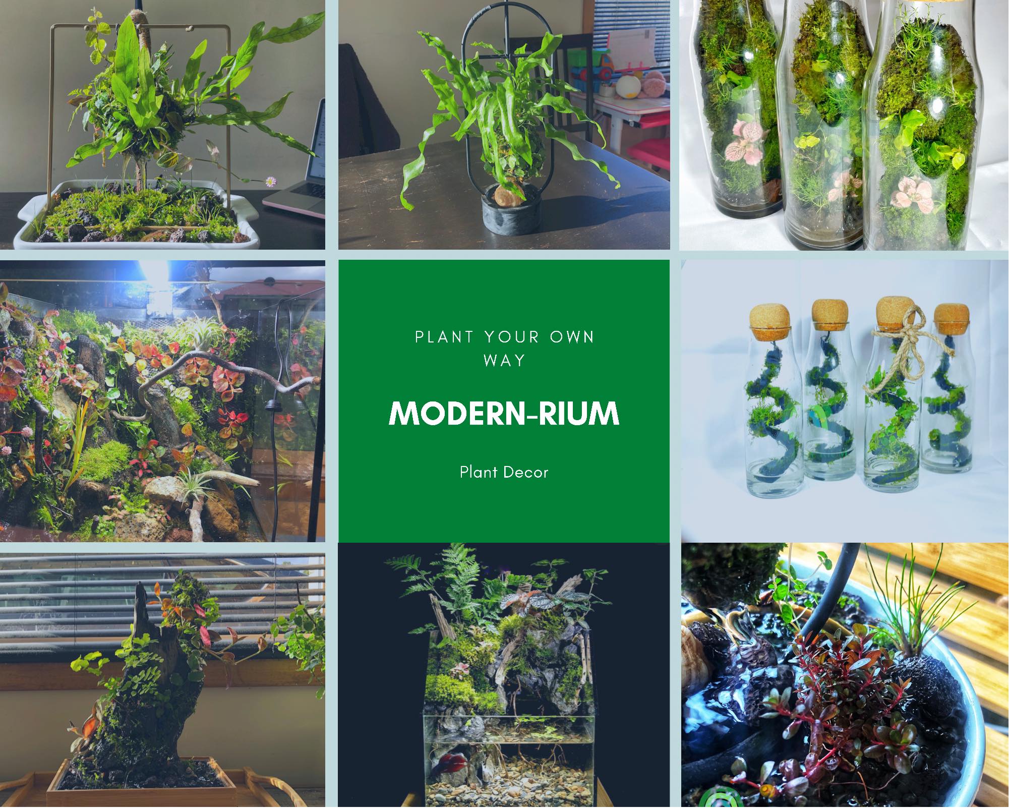 Modern-rium | Box Hill South VIC