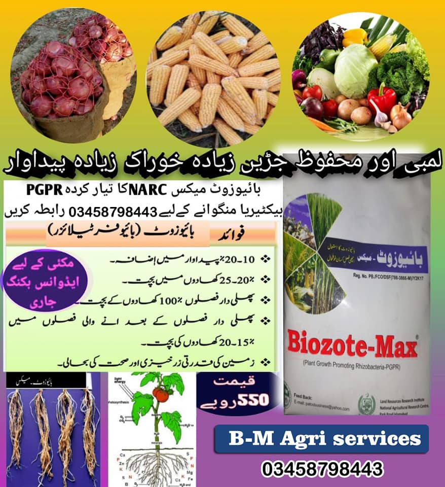 B-M Agri Services03458798443