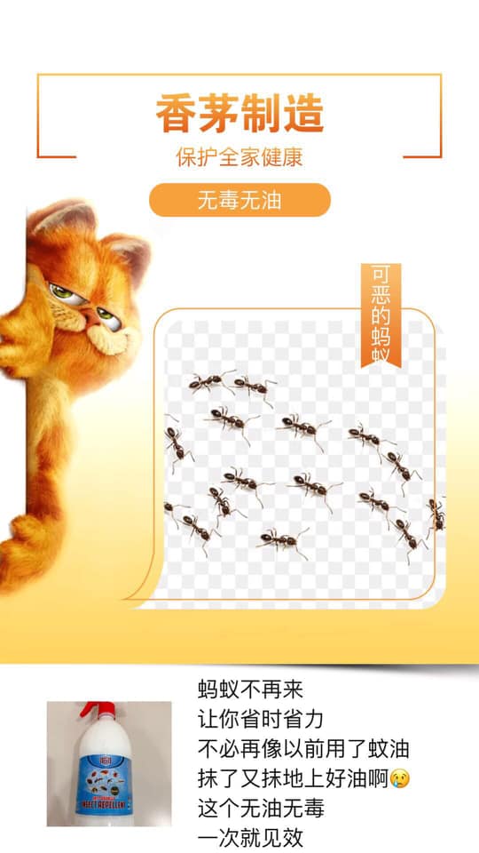 Beauty Ladies House 烦恼没有了 您是否试过了很多方法都无法解决蚂蚁 的问题来找我就对了喷了蚂蚁 不再来 868灭虫剂香茅 制造