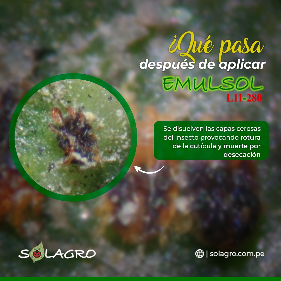 Solagro - EMULSOL no es tóxico a los humanos ni al... | Facebook